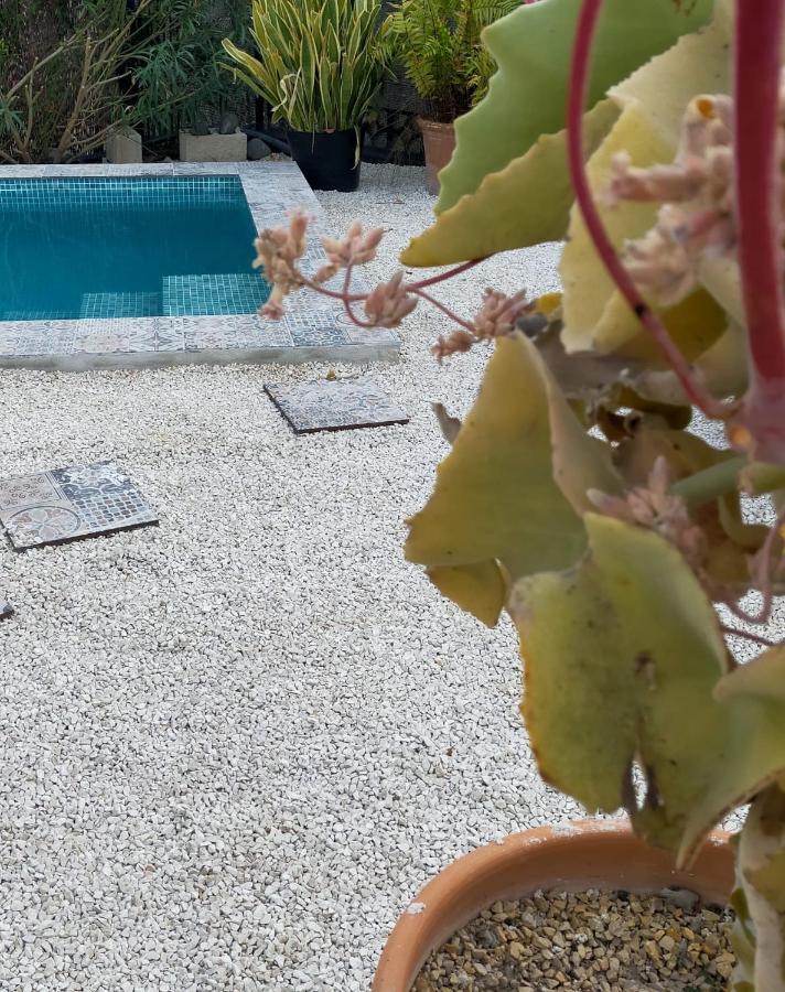 Casa Eline De Lujo Casco Antiguo Altea Piscina Privada Y Jardin Villa Екстериор снимка