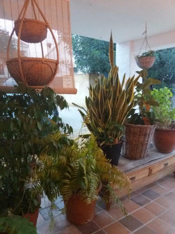 Casa Eline De Lujo Casco Antiguo Altea Piscina Privada Y Jardin Villa Екстериор снимка